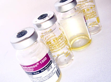 신종플루 A형 독감 증상 격리기간과 전염기간
