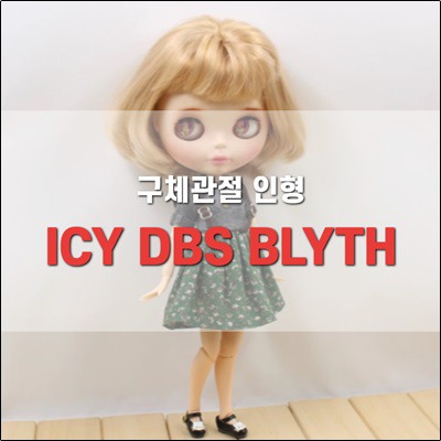 Icy DBS Blyth Doll 구체관절 인형