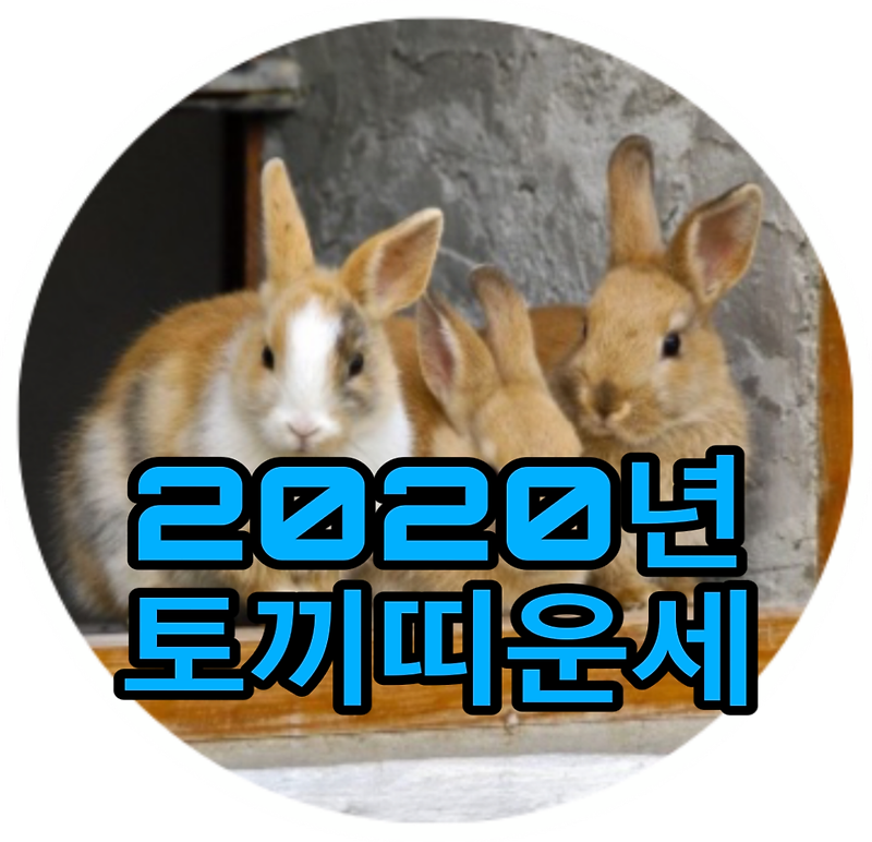 2020년 토끼띠운세 년도별로 확인하자! 볼까요