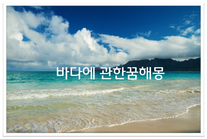 바다꿈, 거북이꿈, 해변꿈, 바닷물꿈 등등