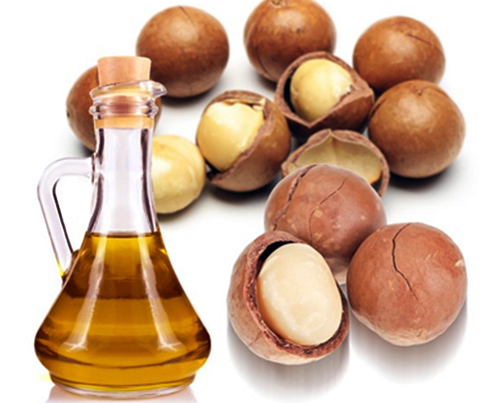 마카다미아 효능 및 마카다미아 넛 오일(Macadamia Nut Oil)