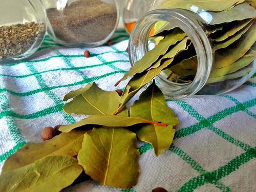 월계수잎 효능 및 성분 월계수잎차 우리기
