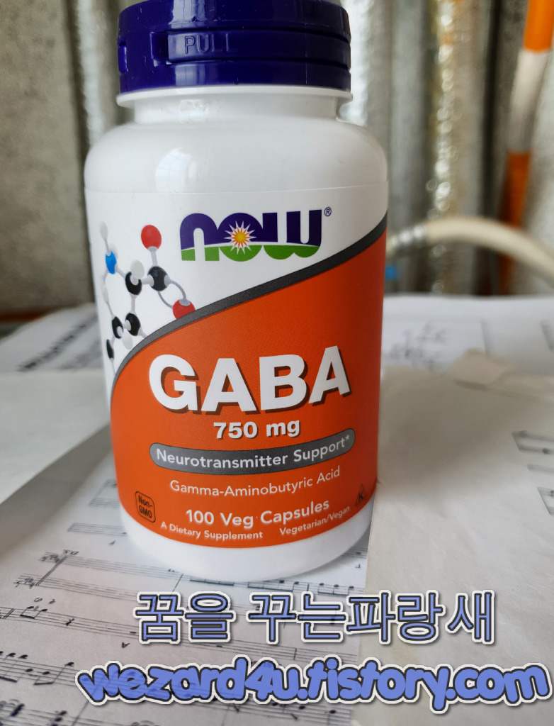 불안완화 및 긴장완화에 도움이 되는 Now Foods GABA 750mg