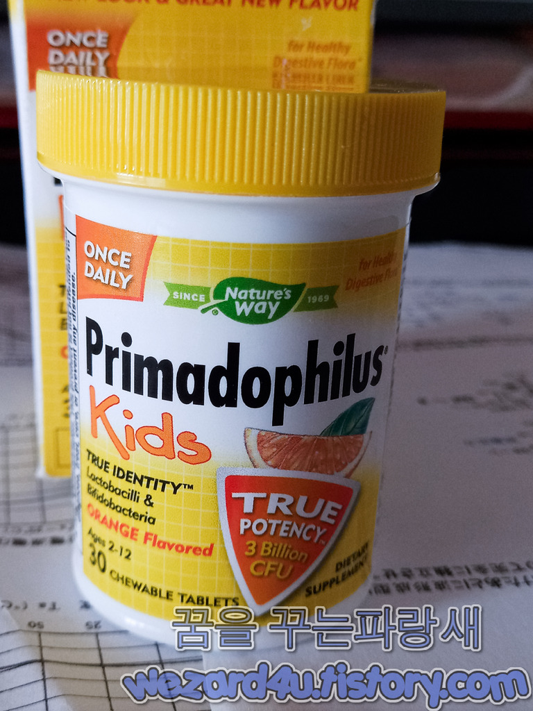 어린이 유산균-Nature's Way Primadophilus, 어린이용 오렌지 맛 30억 CFU 유산균