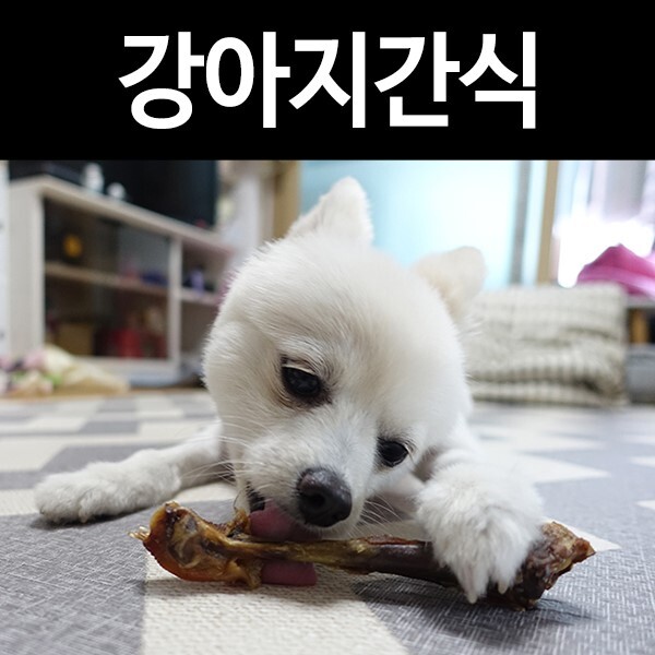 네츄럴펫스낵 강아지간식: 송이가 오리도가니 먹는날!