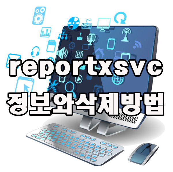 reportxsvc 정보와 삭제방법에 대해 알아보자
