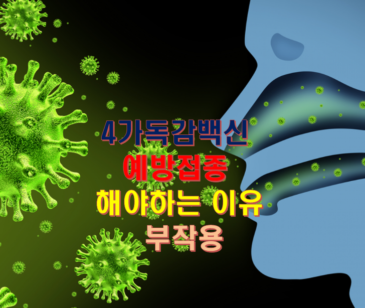 4가독감백신 독감예방접종 해야하는 이유및 독감예방주사 부작용