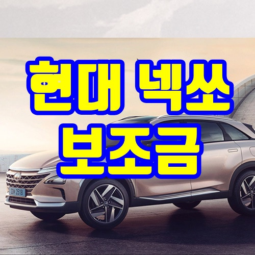 현대 넥소(넥쏘) 보조금 2020년
