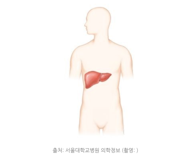 C형간염 전염경로