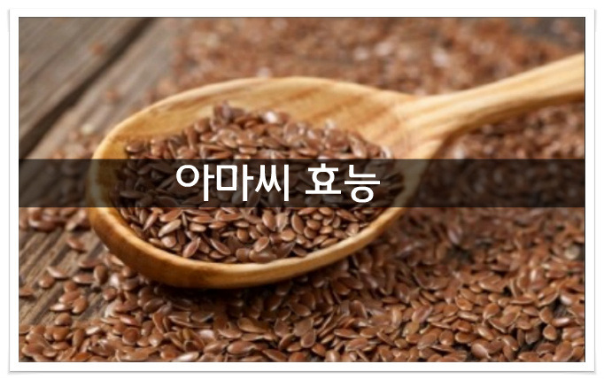 아마씨 효능