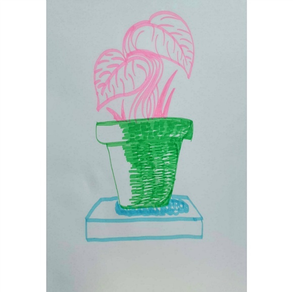 반전식물 - 일러스트 그림 드로잉 2020