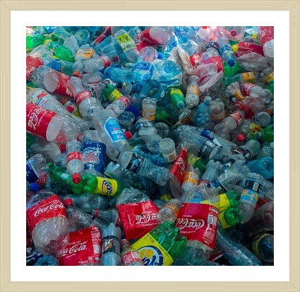 일회용 플라스틱 규제 전세계60개국으로 확대소식