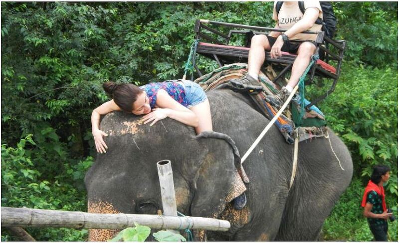 태국/칸차나부리 여행! 3탄 코끼리&뗏목트래킹과 죽음의 열차, 콰이강의 다리!