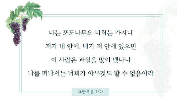 매일 성경 _ 요한복음 15:5