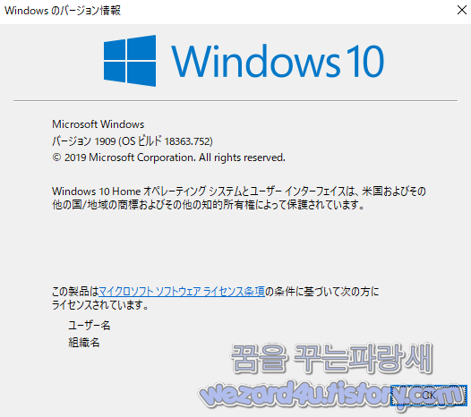 윈도우 10(Windows 10)에 새로운 네트워크 연결 문제 발견