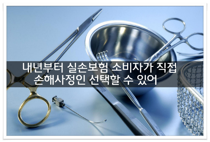 내년부터 실손보험 소비자가 직접 손해사정인 선택