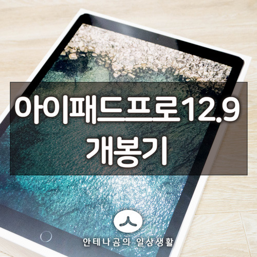 아이패드 프로 2세대 12.9 LTE버전 (2017) 개봉기