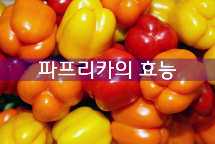 파프리카 효능
