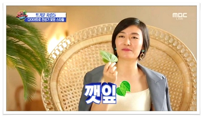 김미려 깻님다이어트, 깻잎의 효능