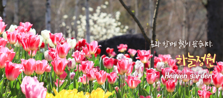 5월 가볼만한 곳 아침고요수목원 봄꽃축제 정보