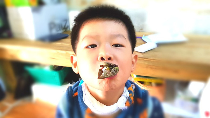 (26-7)친절한 치과는 광주 북구 양산동 튼튼이 어린이치과입니다.