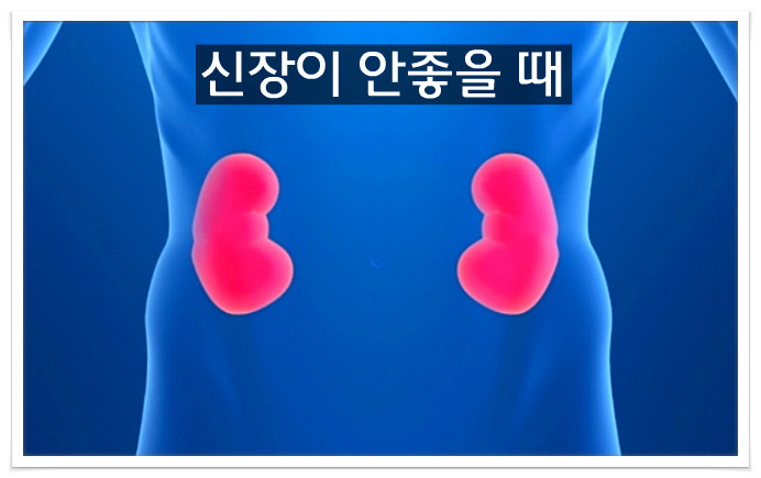 신장질환증상,소변거품 단백뇨 혈뇨