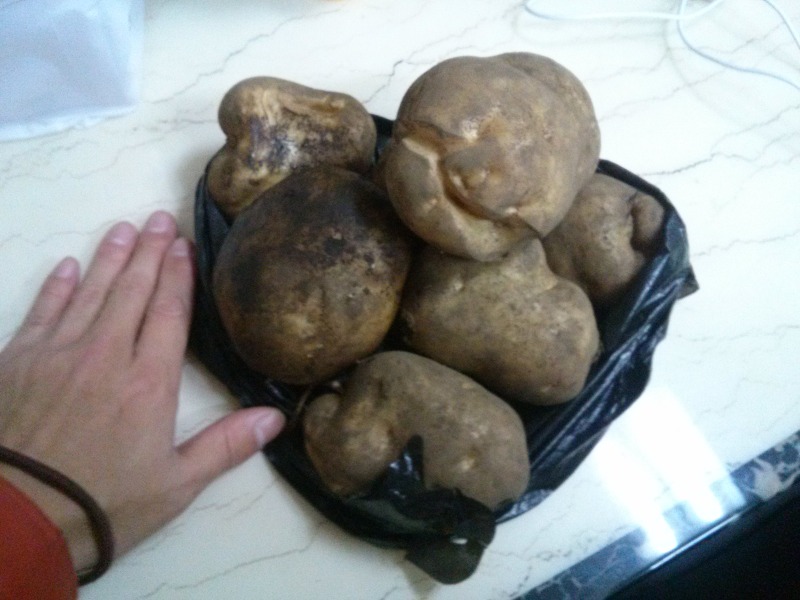 감자밥만들기
