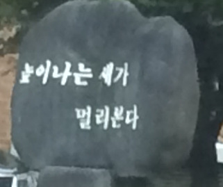 높새멀 2019.07.20. 면