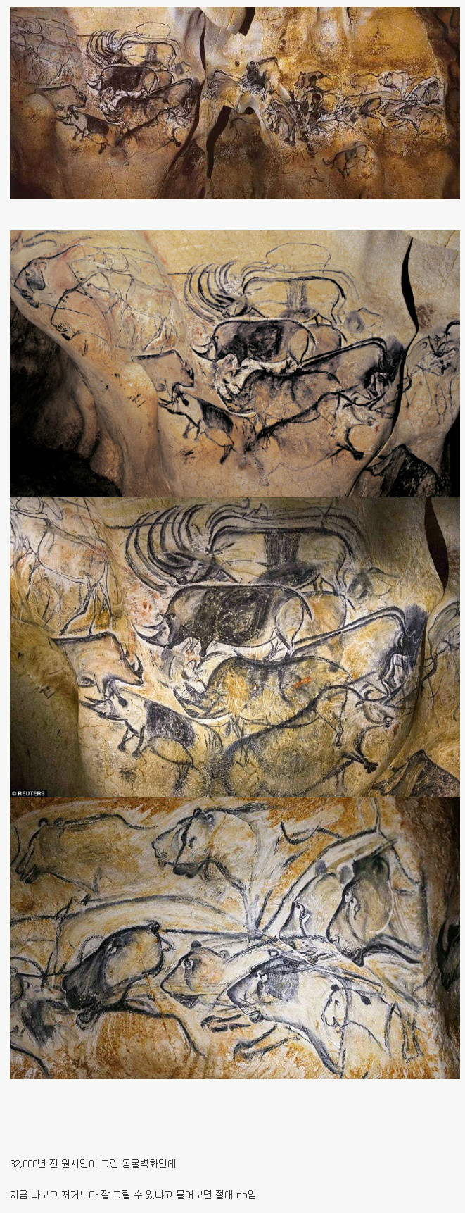 3만2천년전 원시인이 그린 그림