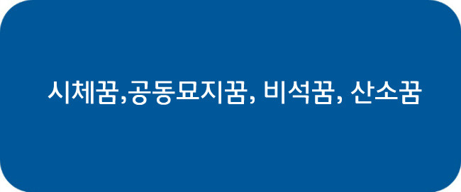 시체꿈,공동묘지꿈, 비석꿈, 산소꿈