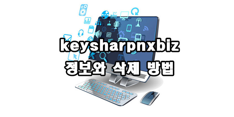 keysharpnxbiz 정보와 삭제방법