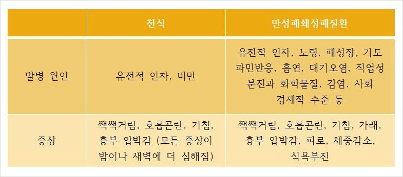 만성 폐쇄성 폐질환