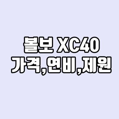 VOLVO(볼보) XC40 제원, 연비, 가격, 인스크립션