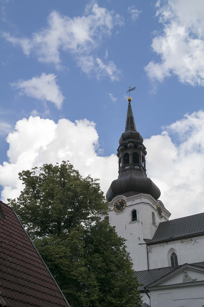 북유럽 발트해 크루즈 여행 - 에스토니아 탈린 업타운 성모마리아 대성당, 코투오차 전망대, 넵스키 대성당