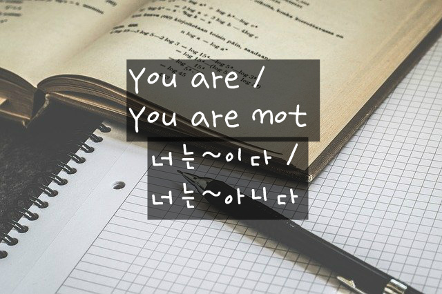 You are 너는~이다