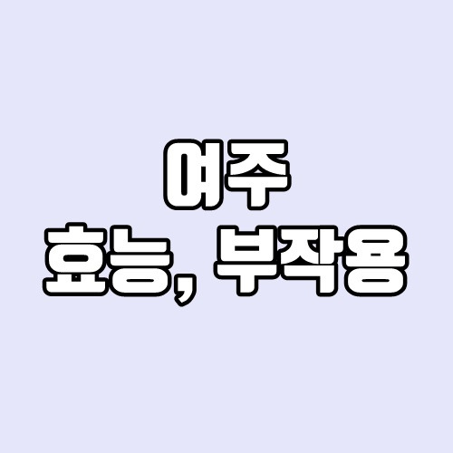 여주 효능, 부작용 - 쉽게 정리한 글