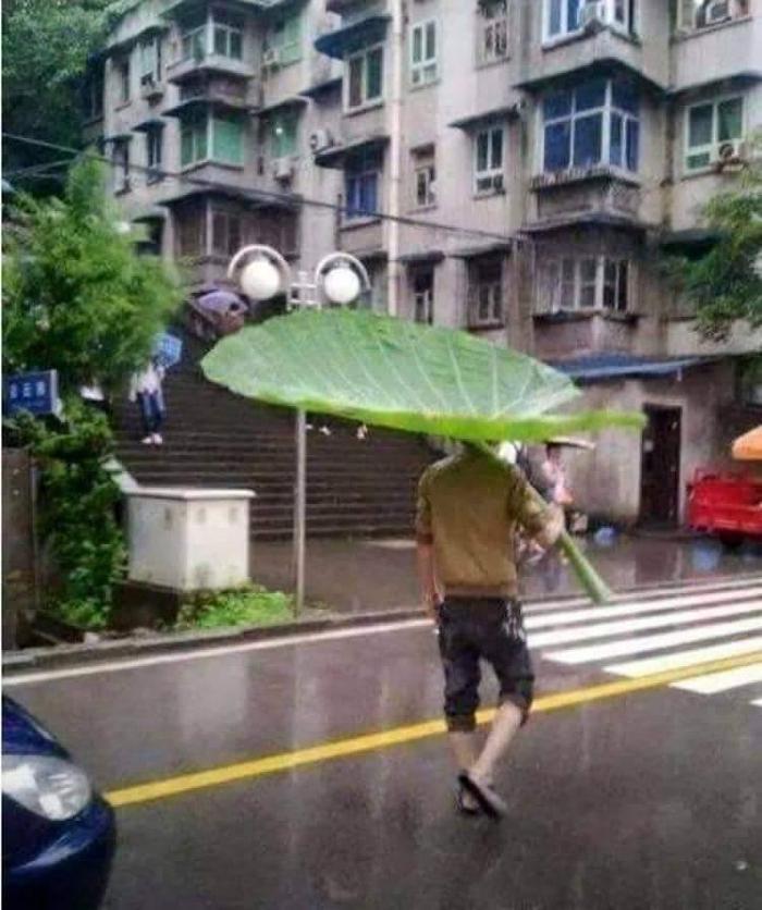 상남자의 우산