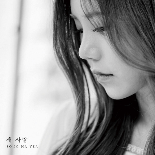 송하예 새 사랑 듣기/가사/앨범/유튜브/뮤비/반복재생/작곡작사