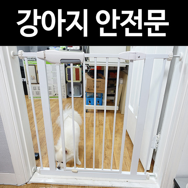 이지핏 프리미엄 강아지 안전문(울타리/펜스) KH-001 리얼리뷰