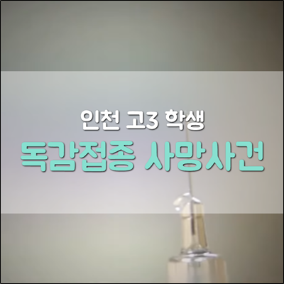 인천 고3학생 독감무료백신 접종 후 사망사건 발생