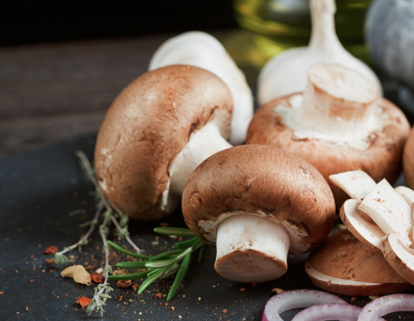 면역력 강화에 좋은 버섯