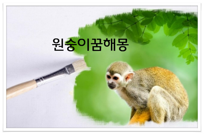 원숭이꿈, 원숭이에 관한꿈 총정리