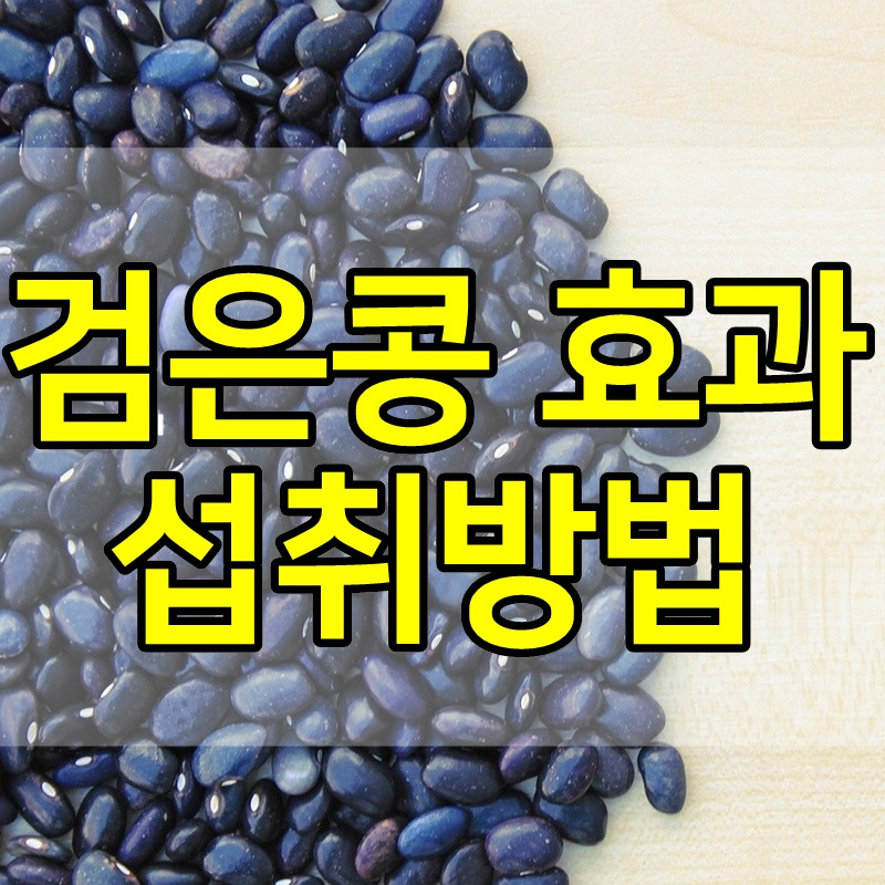 검은콩 가루 효능 (검정콩 가루 효능)과 하루섭취량 알아보기