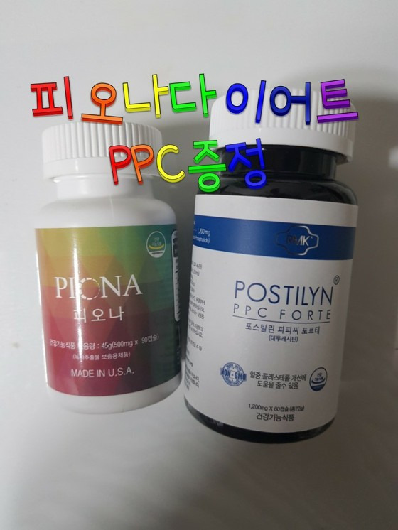 진실한 다이어트를 원하시는 분만 문의 주세요