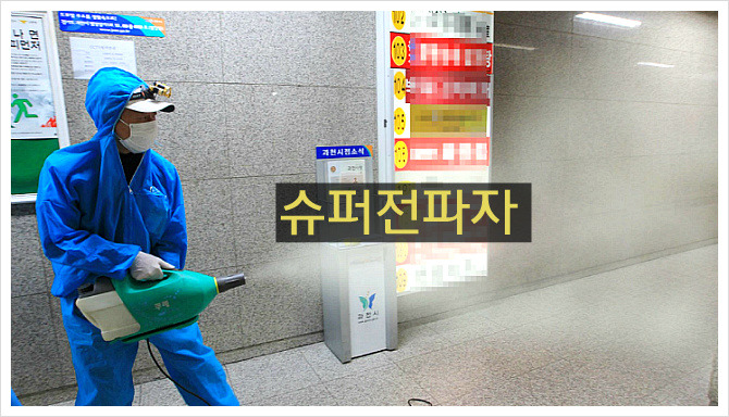 31번 확진자 신천지
