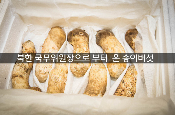 송이버섯 2t