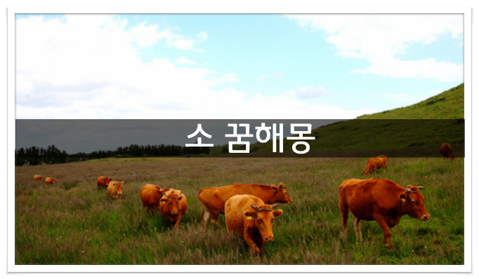 소 꿈해몽