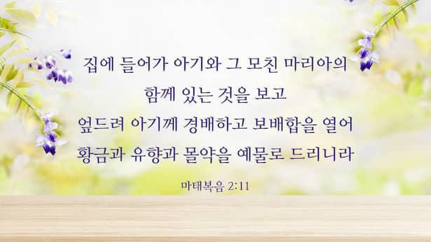 매일 성경 _ 마태복음 2:11