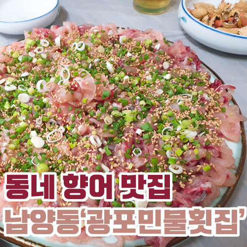창원 남양동 향어회 맛집 광포민물횟집