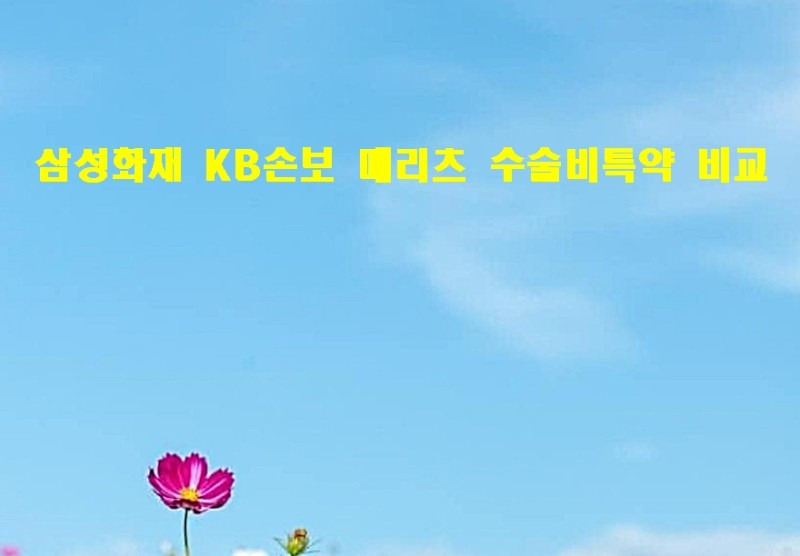 삼성화재 KB손보 메리츠 수술비특약 비교